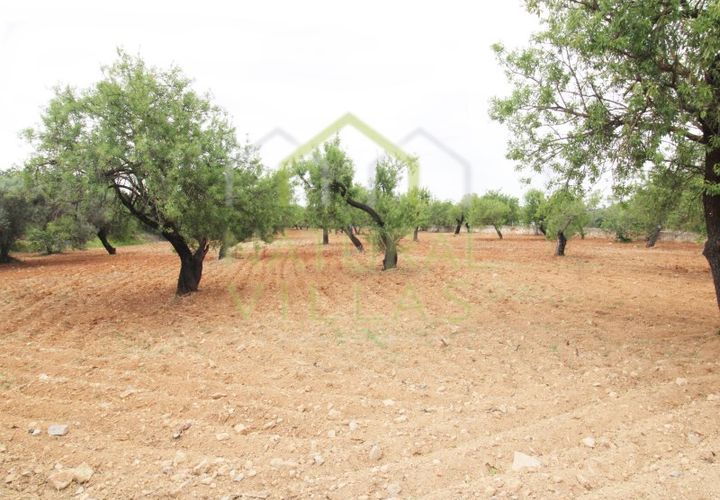 Helårsgrund i Estoi, Faro, Estoi - € 460.000 | Ref: TER_2275_VEND - foto 1