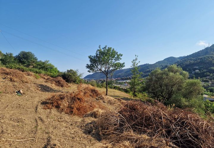 Terra a Camporosso, Imperia, Camporosso - € 60.000 | Ref: F159-1483 - foto 1