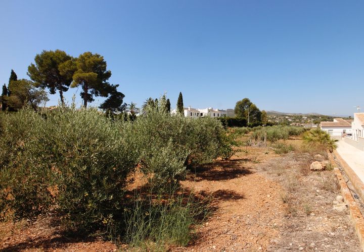 Terra a Javea, Alicante, Javea - € 569.000 | Ref: 894 - foto 1