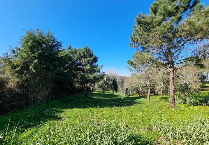 Helårsgrund i Carvalhal, Leiria, Carvalhal - € 65.000 | Ref: BL469 - foto 1