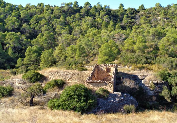 Finca i Maella, Zaragoza, Maella - € 19.000 | Ref: 0671 - foto 1