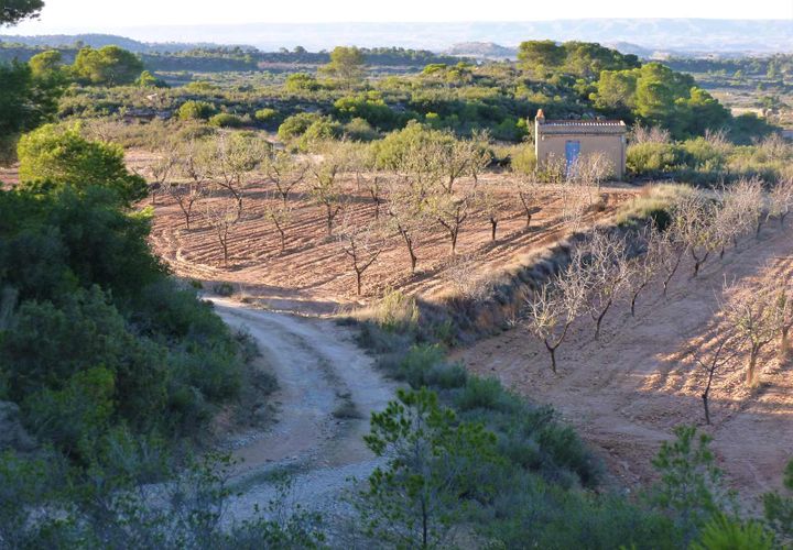 Finca i Fabara, Zaragoza, Fabara - € 15.000 | Ref: 0581 - foto 1