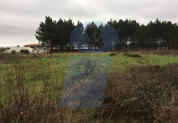 Terra a Oia, Aveiro, Oia - € 35.000 | Ref: SÒL_499 - foto 1