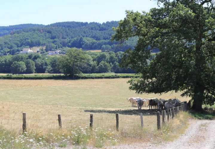 Helårsgrund i Sommant, Saone-et-Loire, Sommant - € 8.190 | Ref: 4990 - foto 1