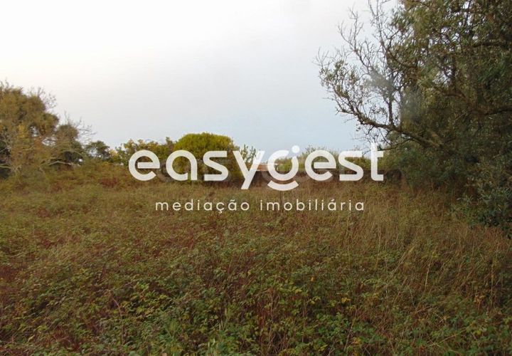Terra a Pontevel, Santarem, Pontevel - € 85.000 | Ref: ST80322EP - foto 1