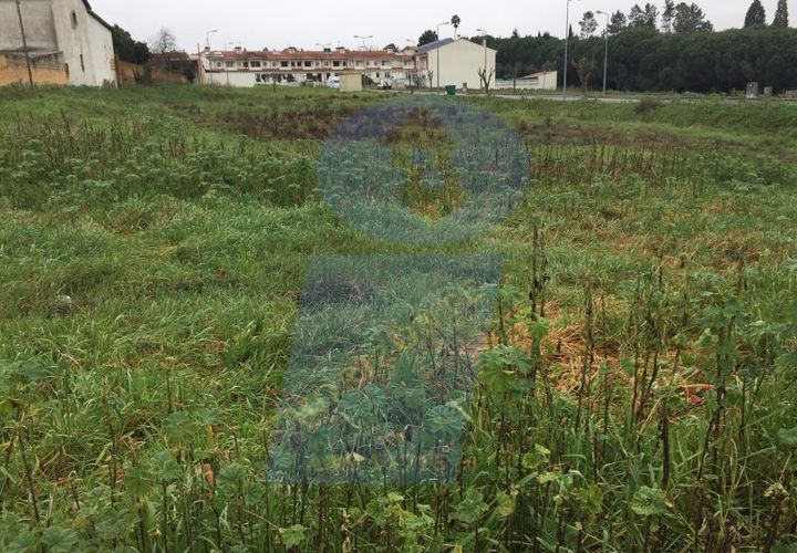 Erhvervsejendom i Anadia, Aveiro, Anadia - € 809.000 | Ref: SÒL_521 - foto 1
