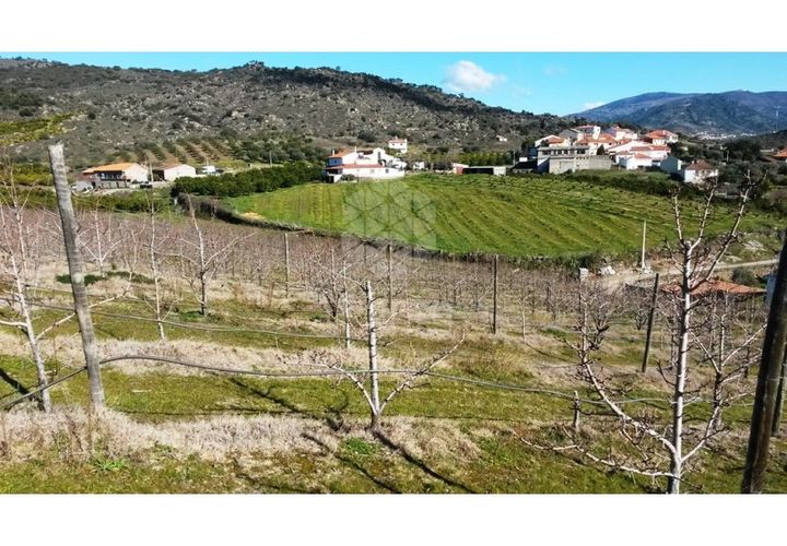 Farm i Vila Flor, Braganca, Vila Flor - € 1.250.000 | Ref: RE9991AG - foto 1