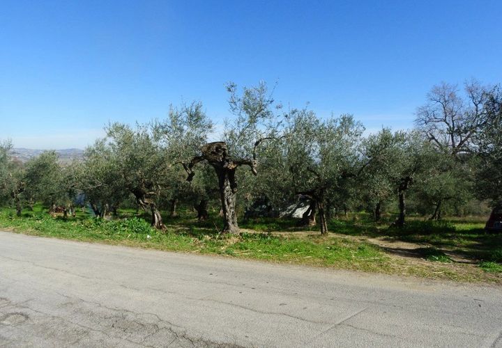 Landejendom i Moscufo, Pescara, Moscufo - € 21.000 | Ref: 3894873 - foto 1
