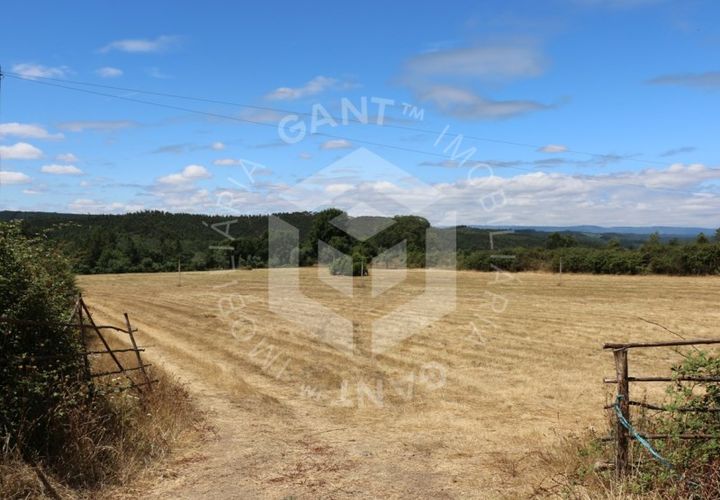 Terra a Azere e Covelo, Coimbra, Azere e Covelo - € 300.000 | Ref: GT-2995-T - foto 1
