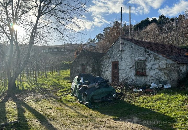Terra a Cepoes, Viseu, Cepoes - € 80.000 | Ref: LMG_1399 - N - foto 1