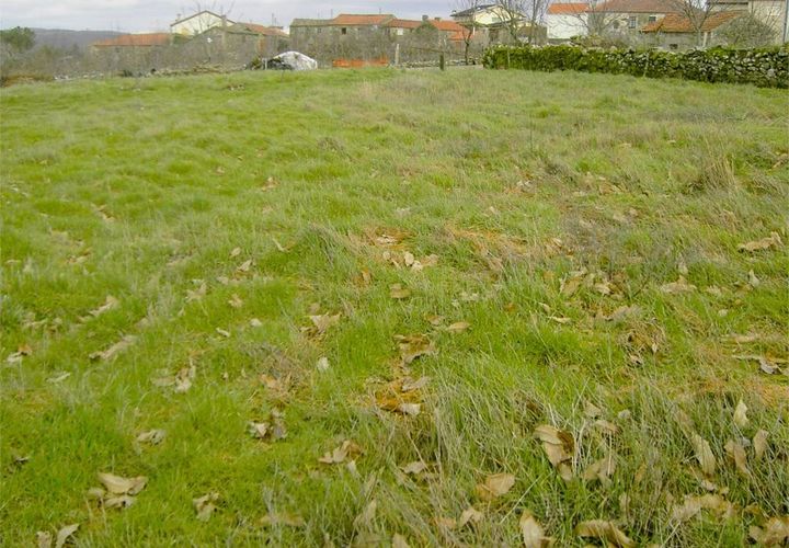 Terra a Moimenta da Beira, Viseu, Moimenta da Beira - € 20.000 | Ref: LMG_2341 - N - foto 1