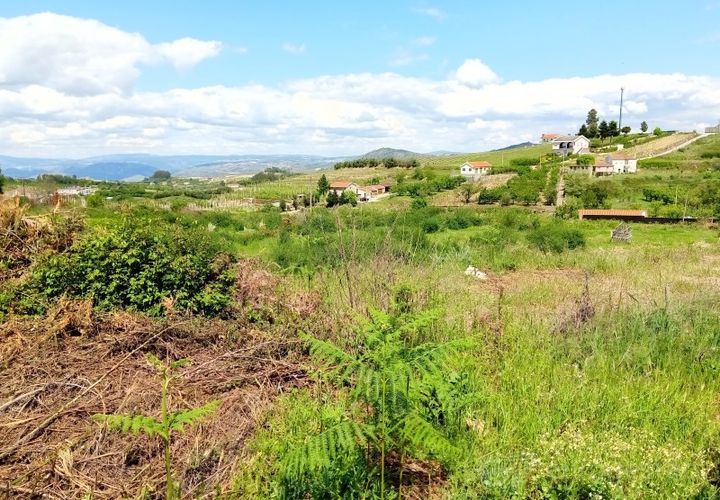 Terra a Cepoes, Viseu, Cepoes - € 75.000 | Ref: LMG_2328 - N - foto 1
