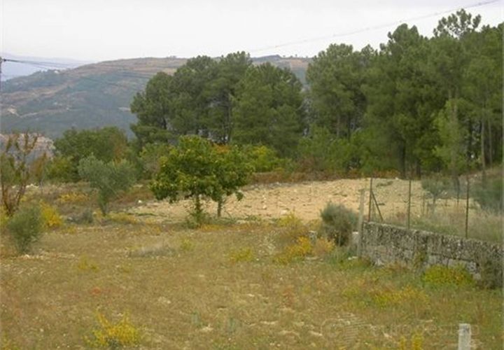 Tomt i Tarouca, Viseu, Tarouca - € 80 000 | Ref: LMG_1542 - N - foto 1