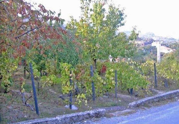 Helårsgrund i Cepoes, Viseu, Cepoes - € 25.000 | Ref: LMG_1887 - N - foto 1