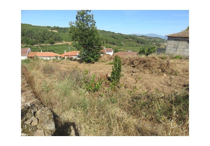 Helårsgrund i Viseu, Viseu, Viseu - € 35.000 | Ref: LMG_3244 - N - foto 1