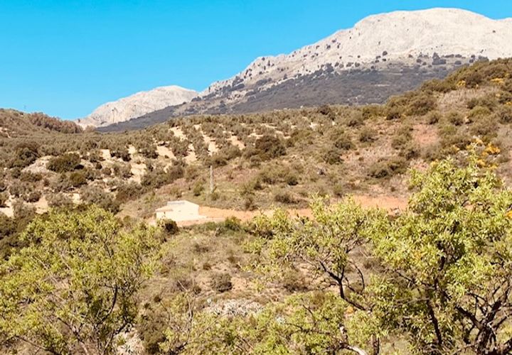 Landejendom i Colmenar, Malaga, Colmenar - € 79.950 | Ref: ID3809 - foto 1