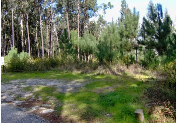 Helårsgrund i Monte Real, Leiria, Monte Real - € 35.000 | Ref: mg1182-1 - foto 1
