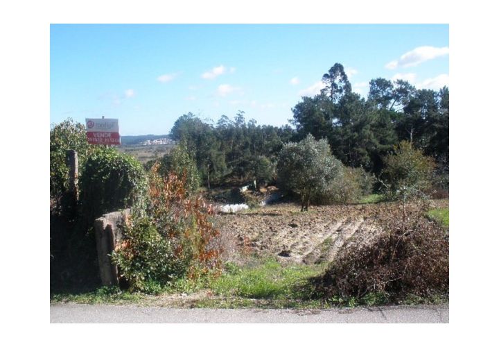 Tomt i Monte Real, Leiria, Monte Real - € 55 000 | Ref: mg1420 - foto 1