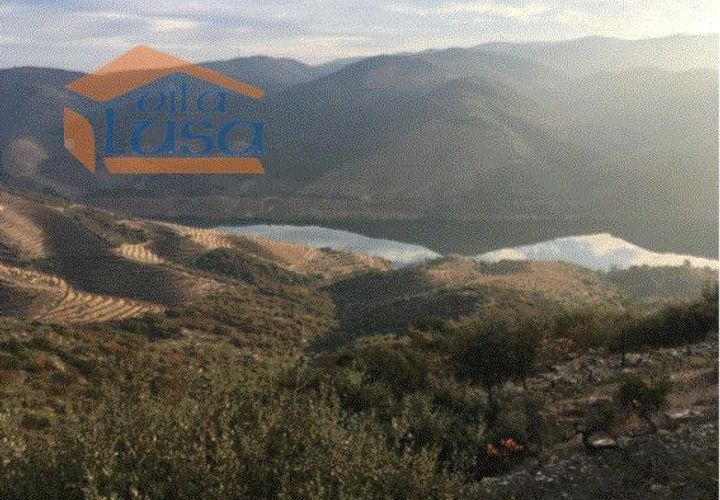 Farm i Torre de Moncorvo, Braganca, Torre de Moncorvo - € 2.500.000 | Ref: 803121004 - foto 1