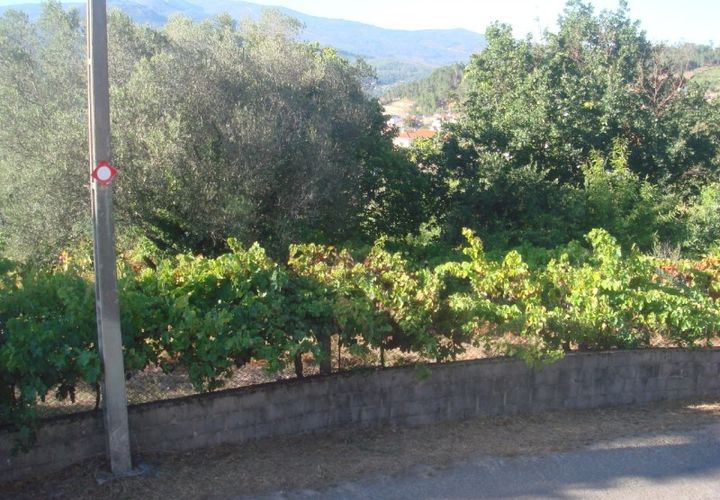 Helårsgrund i Moncao, Viana do Castelo, Moncao - € 130.000 | Ref: MNC0082QTA - foto 1