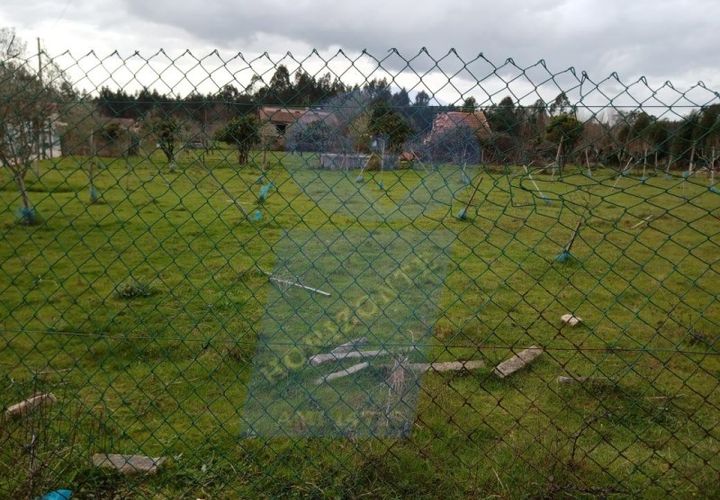 Helårsgrund i Aguada de Cima, Aveiro, Aguada de Cima - € 125.000 | Ref: TER_495 - foto 1