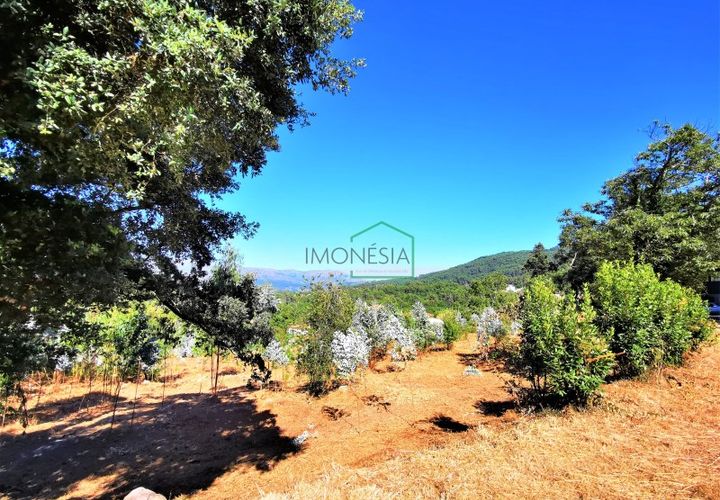 Helårsgrund i Viana do Castelo, Viana do Castelo, Viana do Castelo - € 350.000 | Ref: 1628 - foto 1