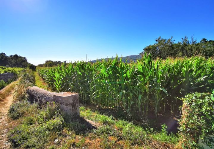 Helårsgrund i Vile, Viana do Castelo, Vile - € 120.000 | Ref: 1629 - foto 1