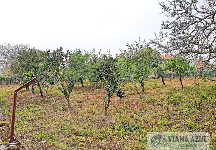 Terra a Areosa, Viana do Castelo, Areosa - € 280.000 | Ref: 1771 - foto 1