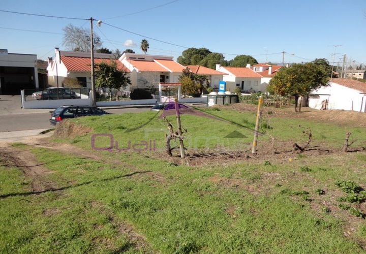 Terra a Riachos, Santarem, Riachos - € 47.500 | Ref: 1951 - foto 1