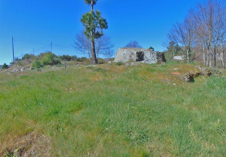 Terra a Cepoes, Viseu, Cepoes - € 65.000 | Ref: LMG_3592 - N - foto 1