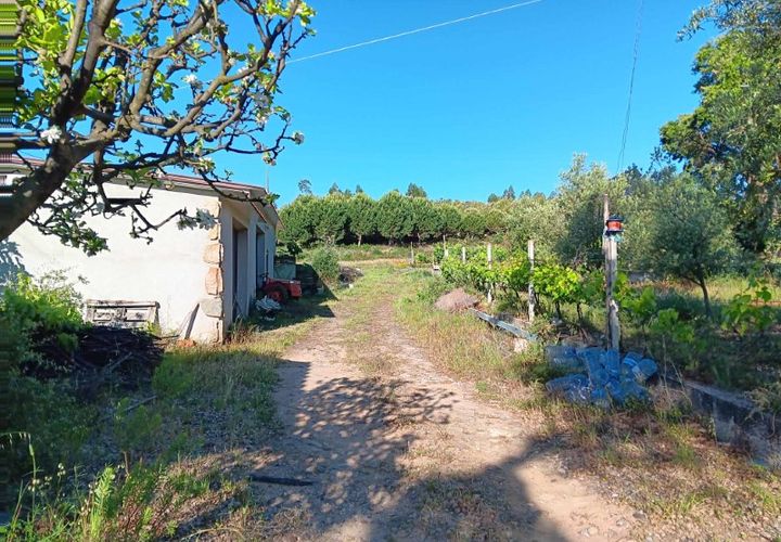 Erhvervsejendom i Macao, Santarem, Macao - € 160.000 | Ref: 7537 - foto 1
