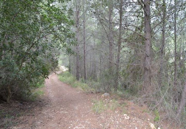 Terra a Beniarda, Alicante, Beniarda - € 17.000 | Ref: 6330 - foto 1