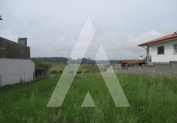 Terra a Fermentelos, Aveiro, Fermentelos - € 40.000 | Ref: 1050716/21 OB - foto 1