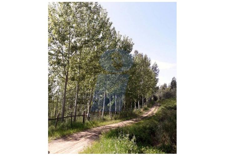 Helårsgrund i Arouca, Aveiro, Arouca - € 90.000 | Ref: TER_615 - foto 1