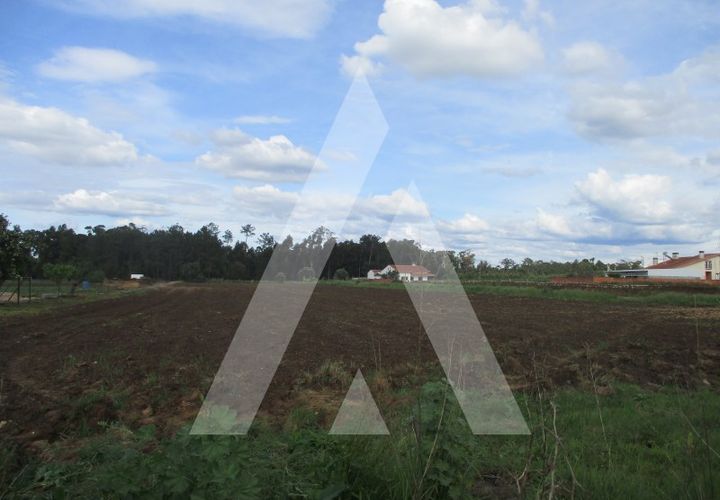 Helårsgrund i Oia, Aveiro, Oia - € 172.500 | Ref: 1050722/21 OB - foto 1