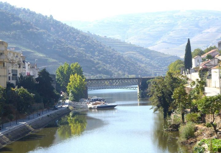Farm i Alijo, Vila Real, Alijo - € 700.000 | Ref: 7647_I - foto 1
