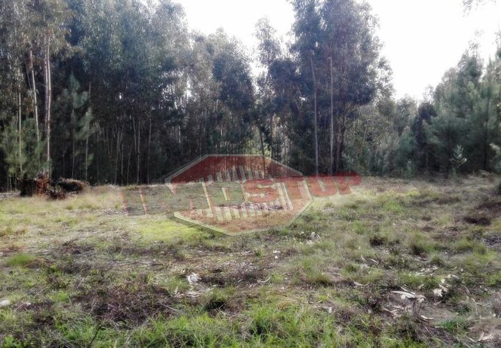 Helårsgrund i Oliveira do Bairro, Aveiro, Oliveira do Bairro - € 42.500 | Ref: 33026 - foto 1