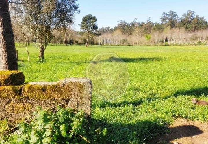 Helårsgrund i Agueda, Aveiro, Agueda - € 60.000 | Ref: 32014 - foto 1