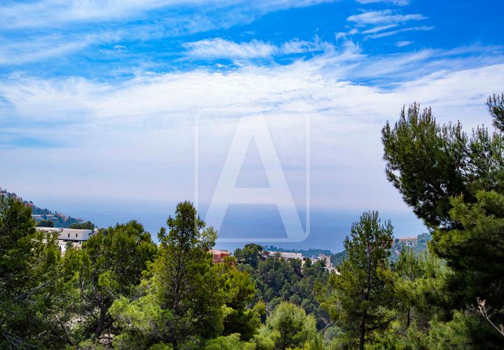 Grond in Altea, Alicante, Altea - € 450.000 | Ref: PAT0005 - foto 1
