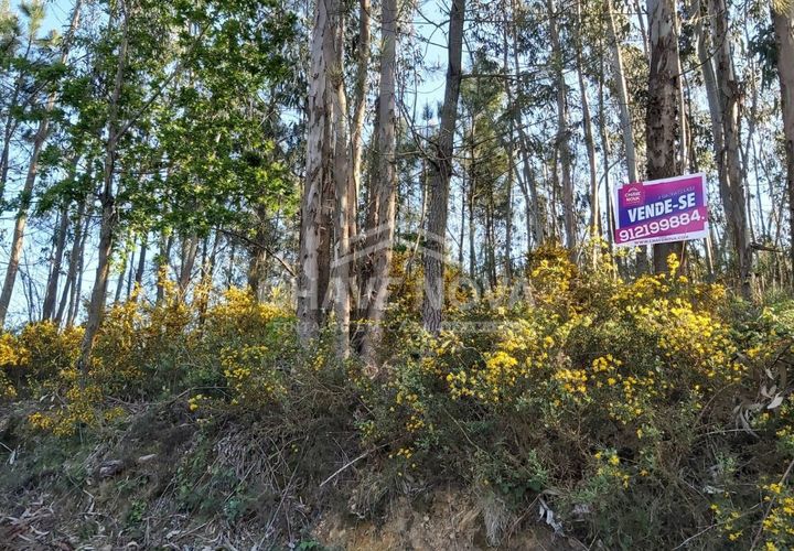 Helårsgrund i Cinfaes, Viseu, Cinfaes - € 24.000 | Ref: OD/01073 - foto 1