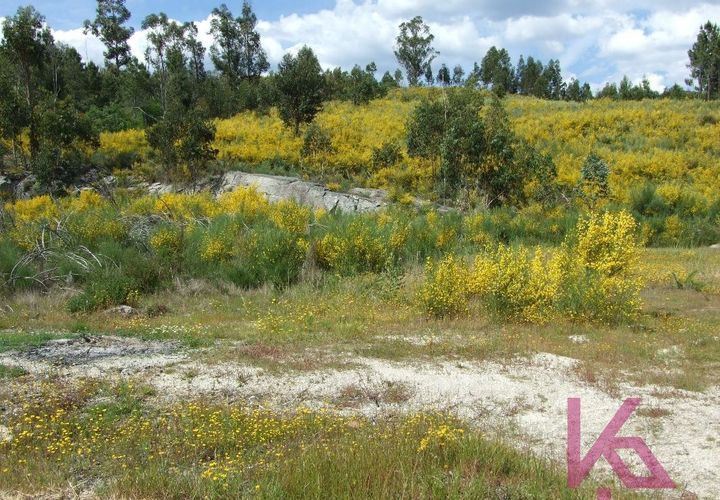 Helårsgrund i Amarante, Porto, Amarante - € 50.000 | Ref: 0574 - foto 1
