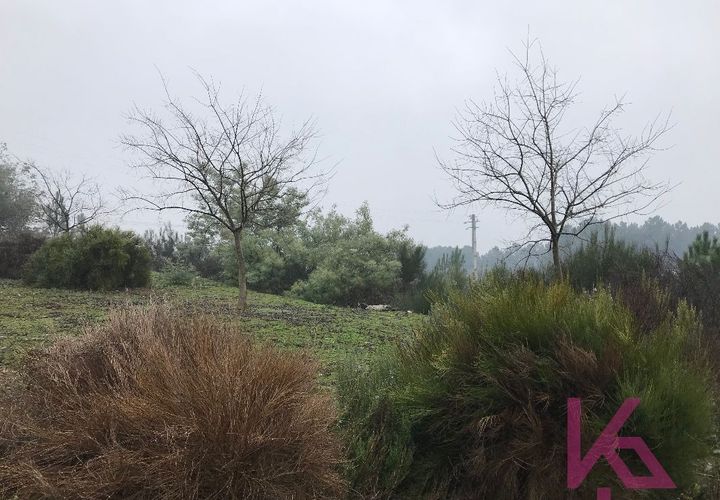 Terra a Sabrosa, Vila Real, Sabrosa - € 35.000 | Ref: 0910 - foto 1