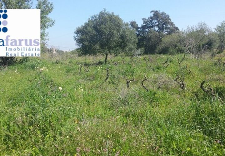 Helårsgrund i Olhao, Faro, Olhao - € 350.000 | Ref: TER801 - foto 1