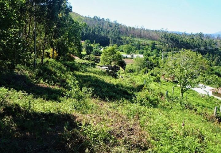 Helårsgrund i Gandra e Taiao, Viana do Castelo, Gandra e Taiao - € 35.000 | Ref: 3265 - foto 1