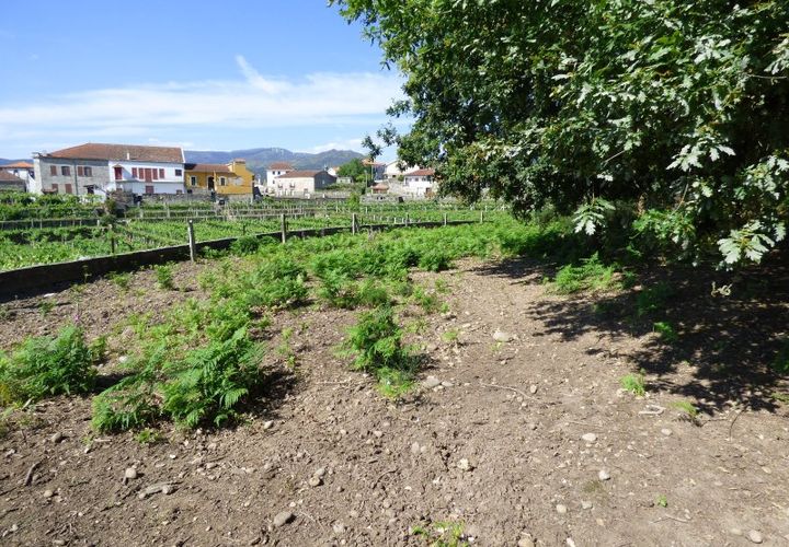 Tomt i Ceivaes e Badim, Viana do Castelo, Ceivaes e Badim - € 95 000 | Ref: 2854 - foto 1