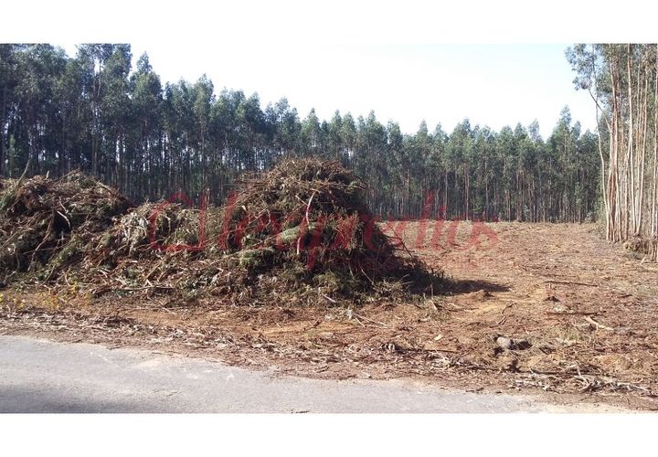 Helårsgrund i Aguada de Cima, Aveiro, Aguada de Cima - € 70.000 | Ref: AG 3049 - foto 1