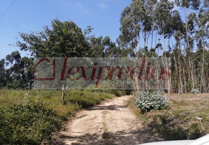Erhvervsejendom i Agueda, Aveiro, Agueda - € 118.000 | Ref: AG 3230 - foto 1