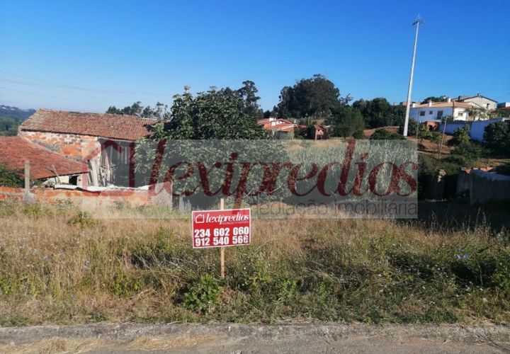 Tomt i Barro, Aveiro, Barro - € 38 000 | Ref: 3452 - foto 1