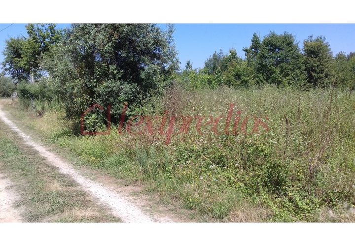 Helårsgrund i Agueda, Aveiro, Agueda - € 35.000 | Ref: AG 3465 - foto 1