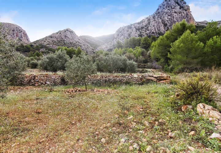 Helårsgrund i Pedreguer, Alicante, Pedreguer - € 225.000 | Ref: ES-CAL-010186 - foto 1
